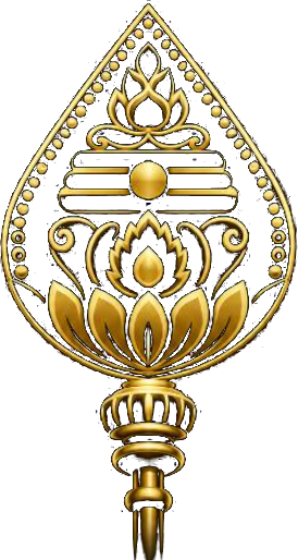 VN Traders
